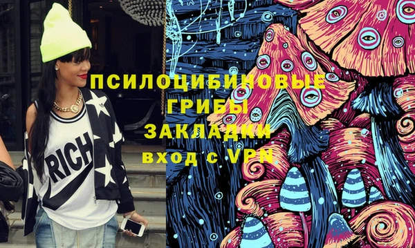гидропоника Няндома