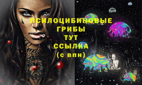гидропоника Няндома